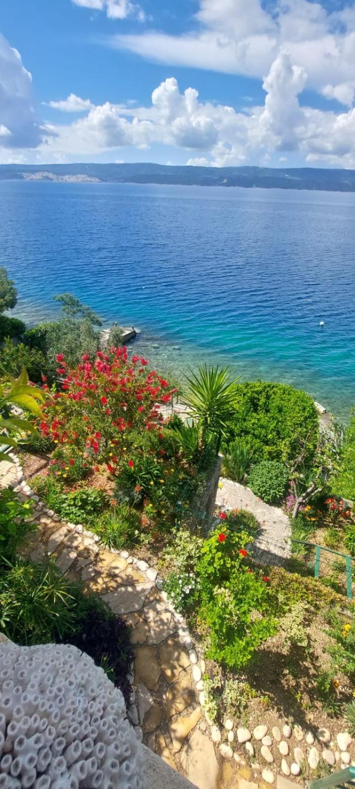 Apartment Toncica أوميس المظهر الخارجي الصورة